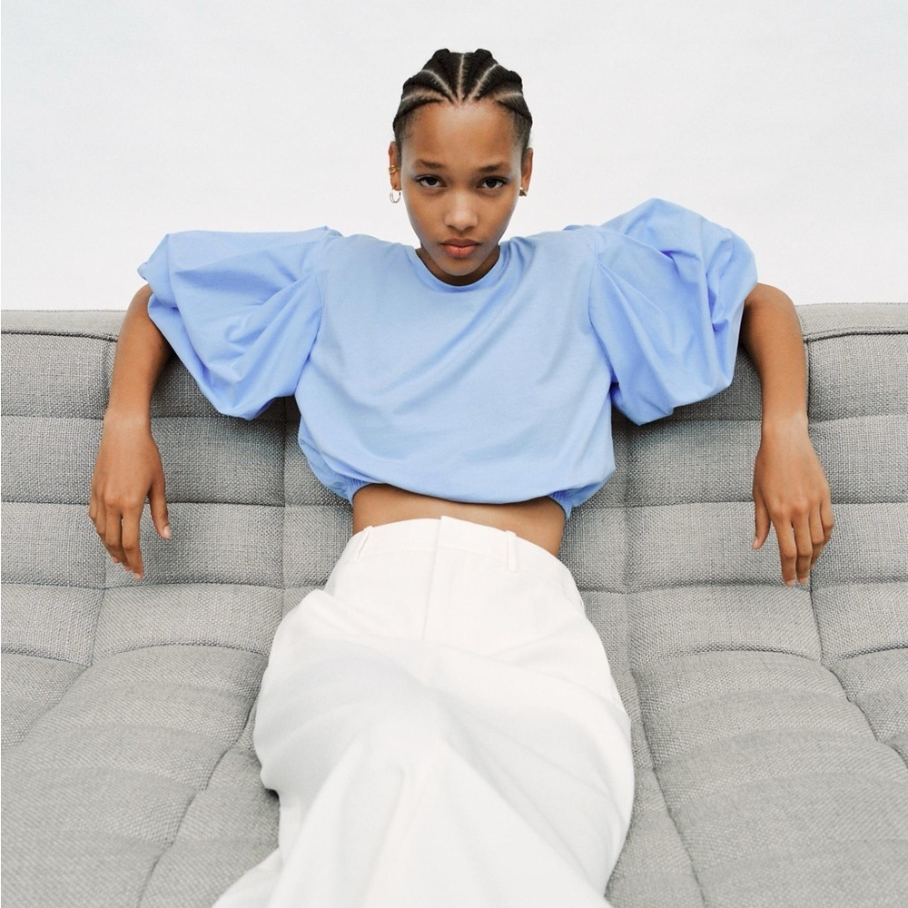 ZARA Blue Puff Sleeve Top